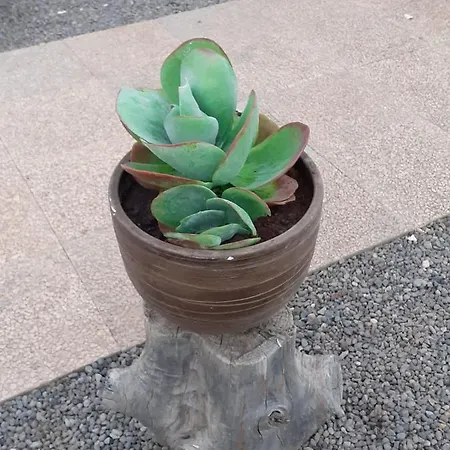 Canarias Telde