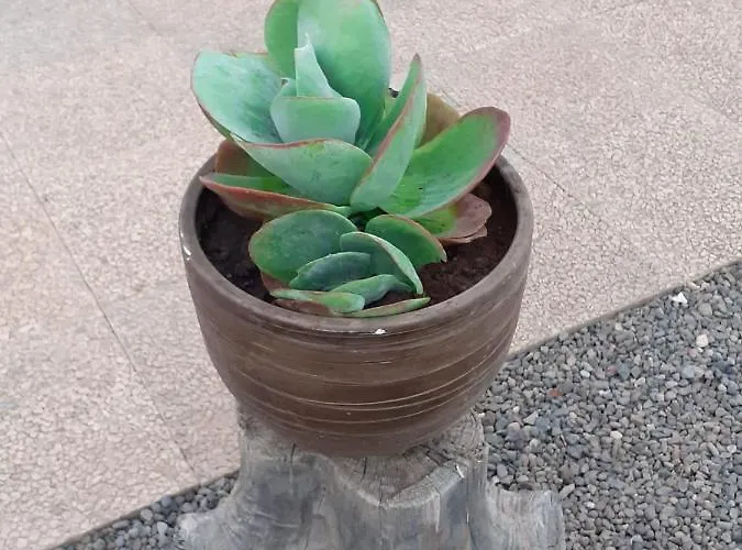 Canarias Telde